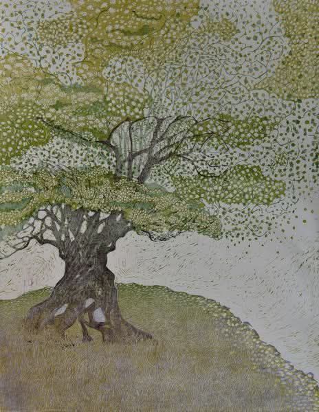 Illustrazione di Charlotte Baxter — albero